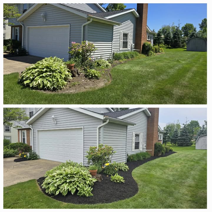 No Limit Lawn Care LLC completed lawn care project