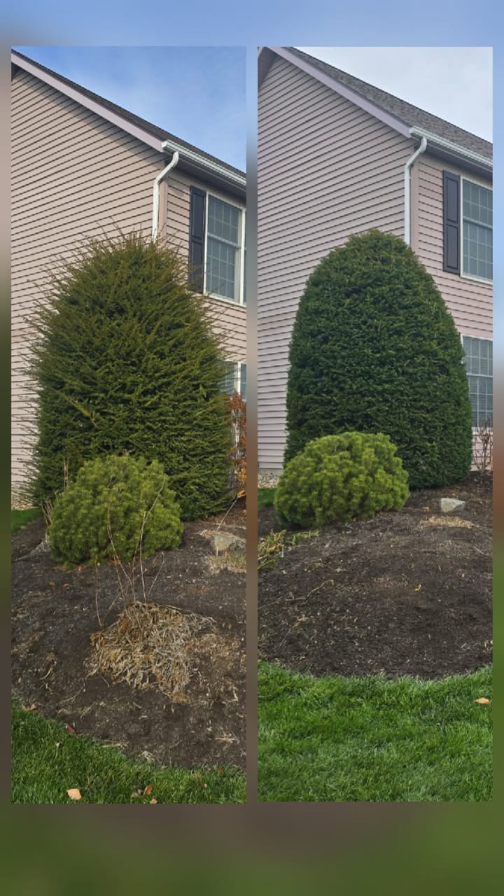 Professional lawn mowing service by No Limit Lawn Care LLC