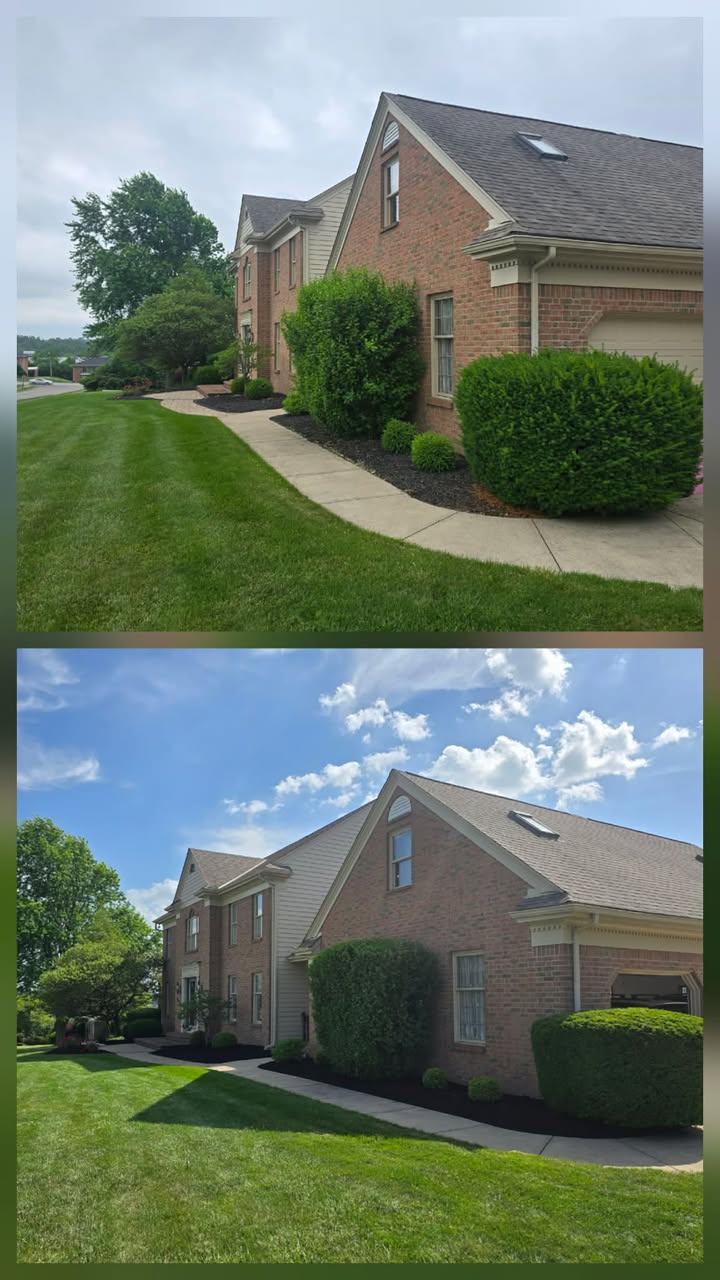 No Limit Lawn Care LLC completed lawn care project