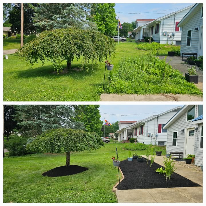 Recent outdoor cleanup work by No Limit Lawn Care LLC