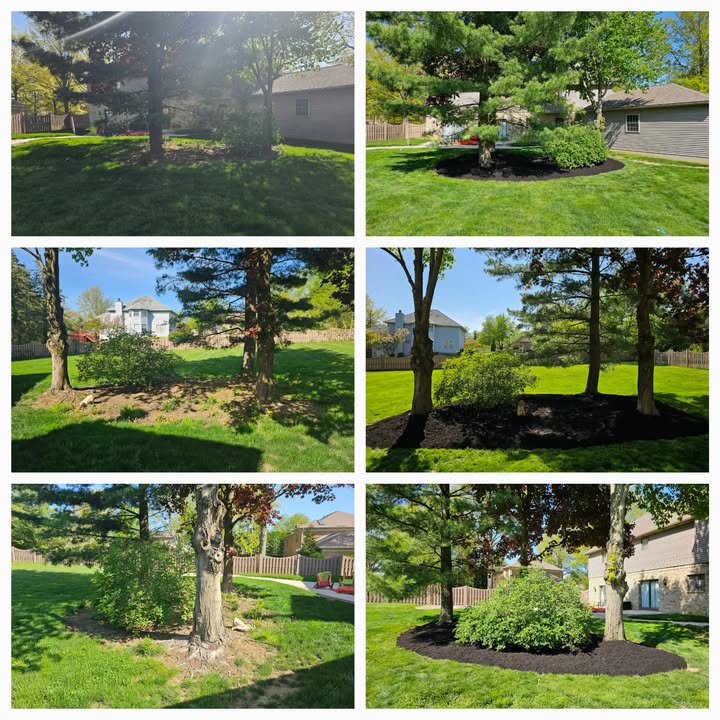 Recent outdoor cleanup work by No Limit Lawn Care LLC