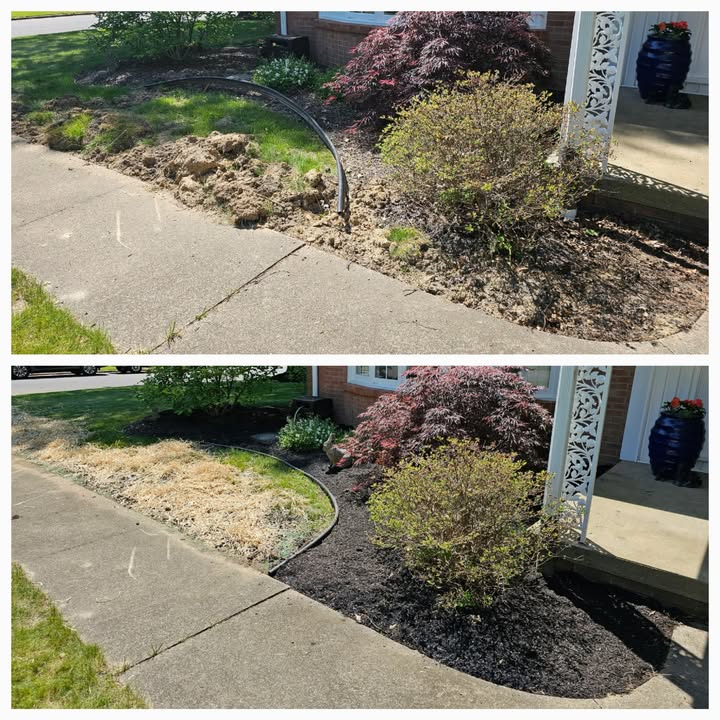 No Limit Lawn Care LLC completed lawn care project