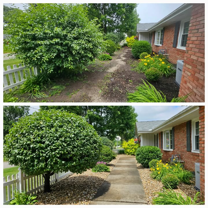 No Limit Lawn Care LLC completed lawn care project