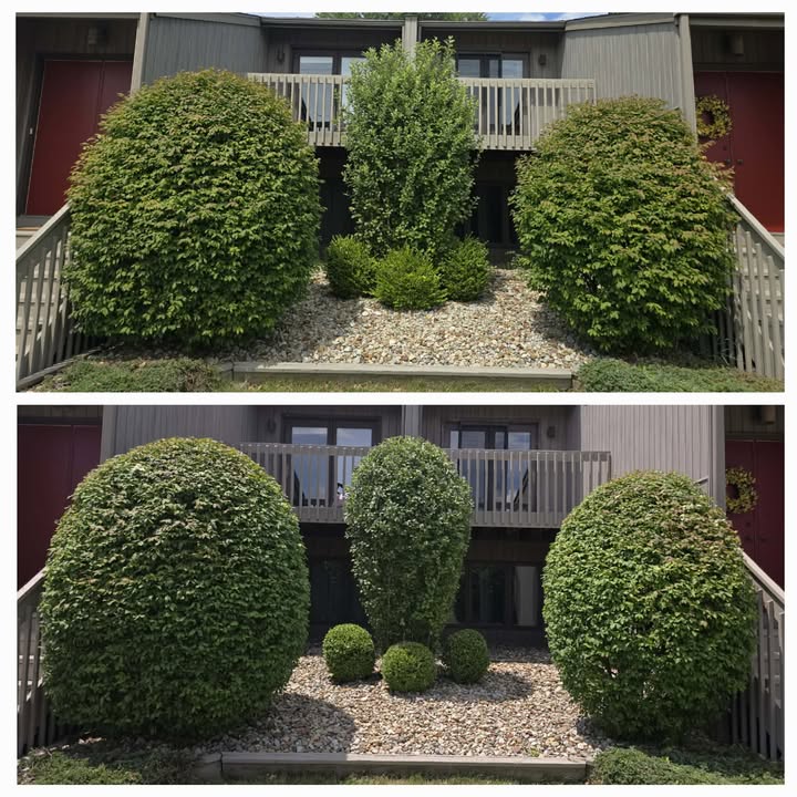 Recent outdoor cleanup work by No Limit Lawn Care LLC
