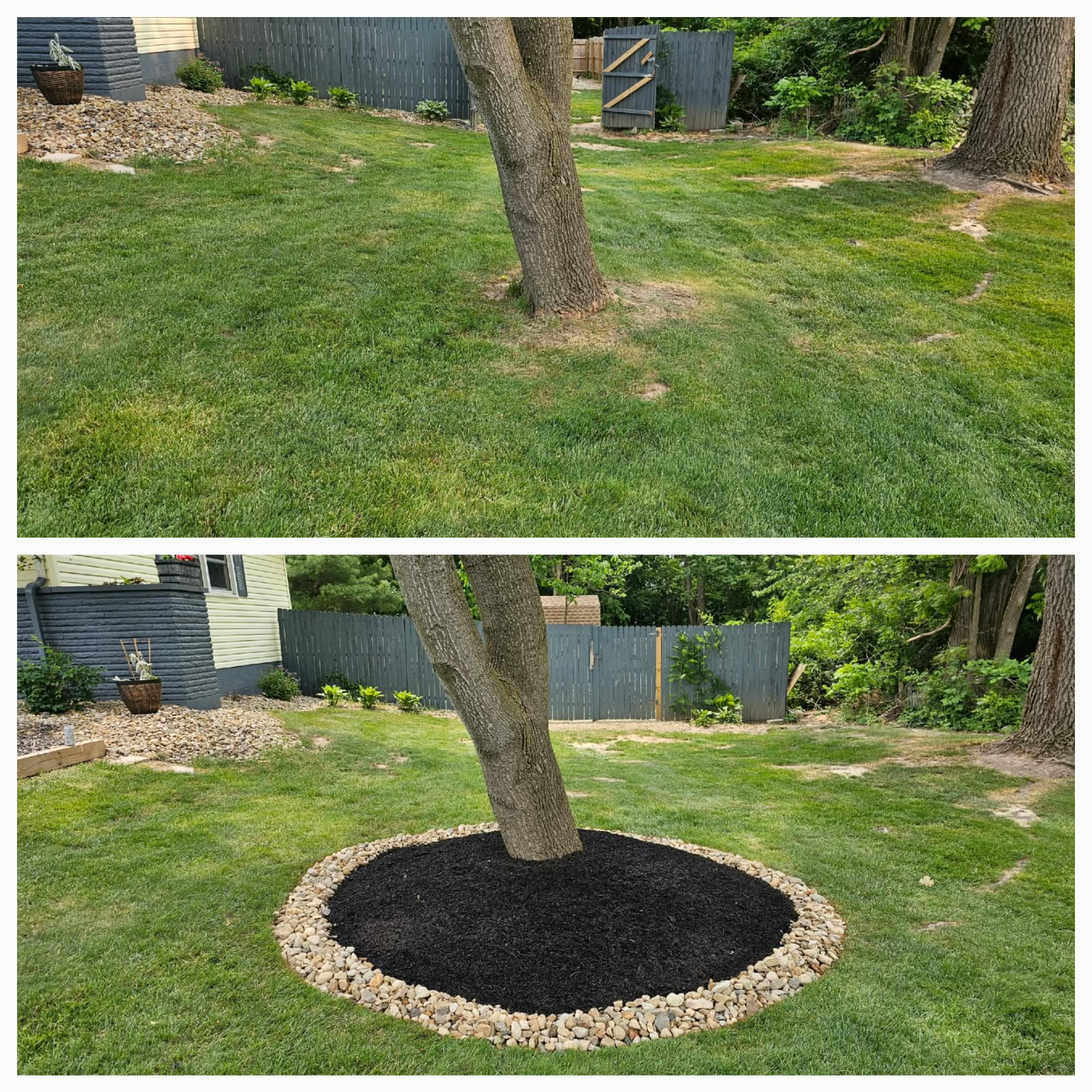 No Limit Lawn Care LLC completed lawn care project
