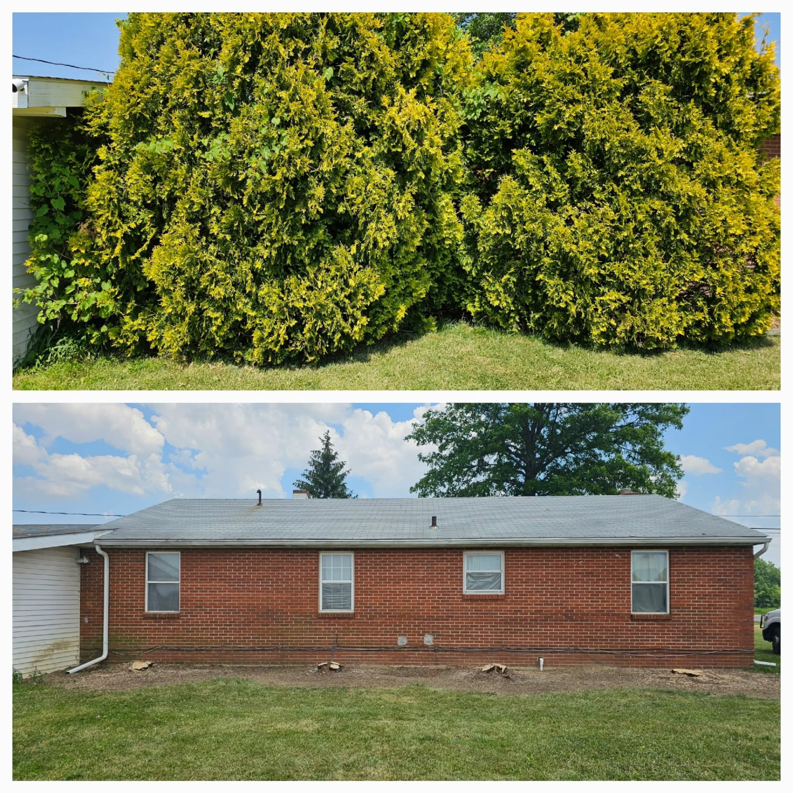 Recent outdoor cleanup work by No Limit Lawn Care LLC