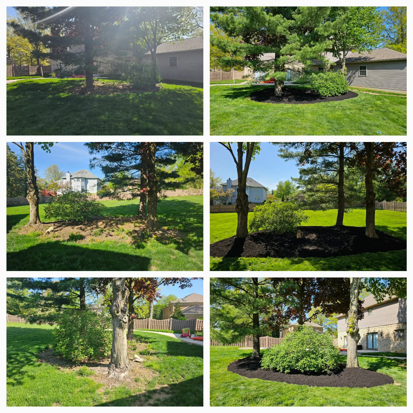 Professional lawn mowing service by No Limit Lawn Care LLC