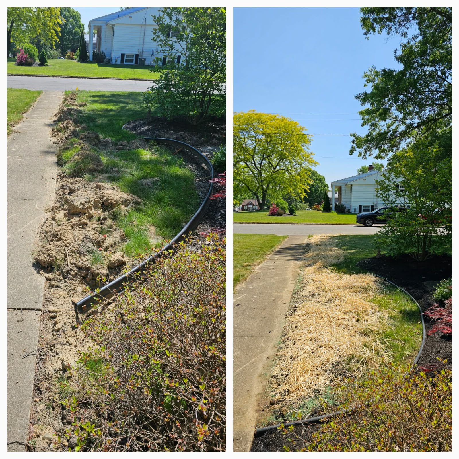 No Limit Lawn Care LLC completed lawn care project