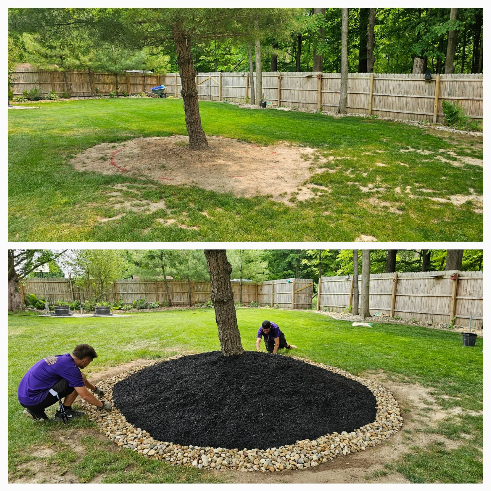 Recent outdoor cleanup work by No Limit Lawn Care LLC