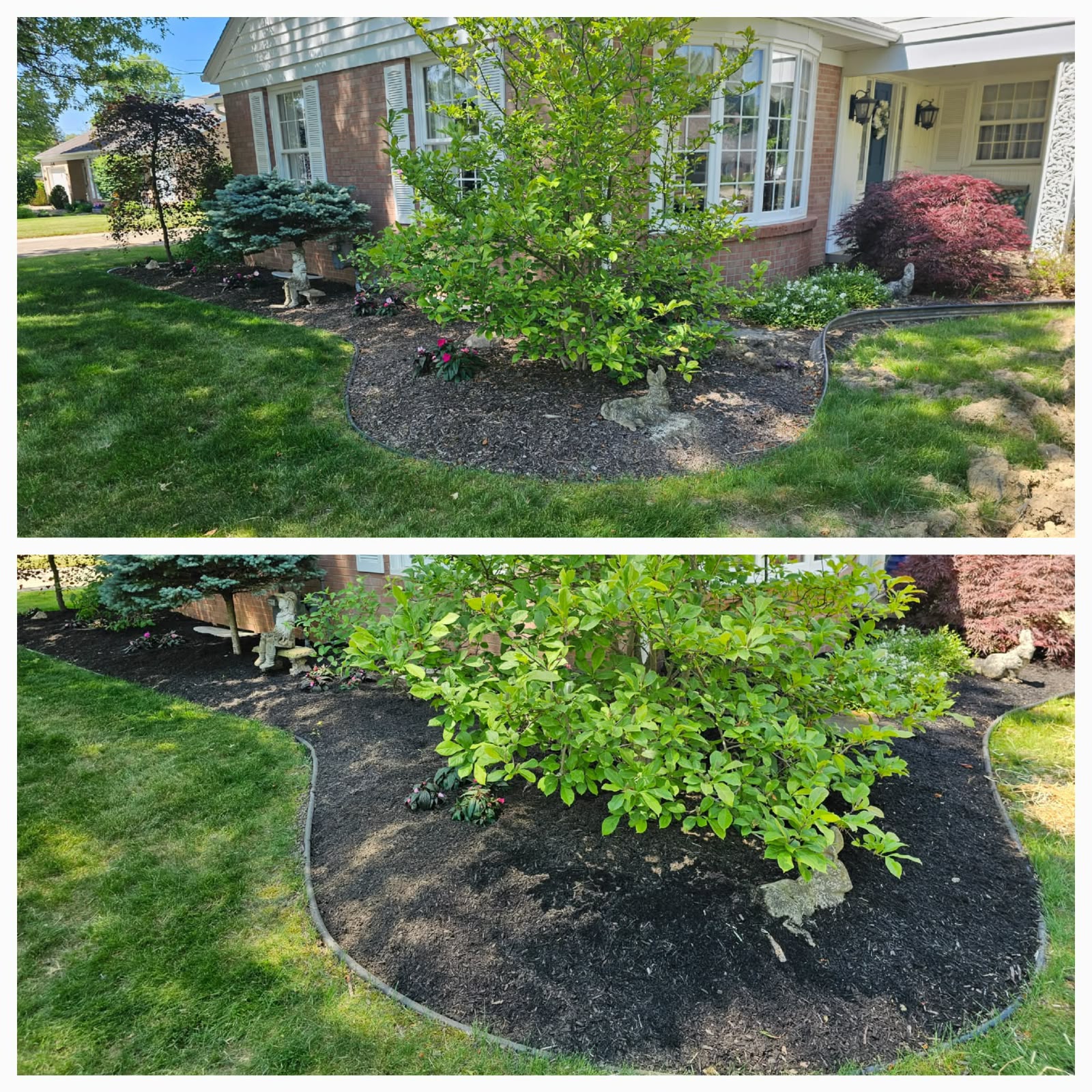 Professional lawn mowing service by No Limit Lawn Care LLC