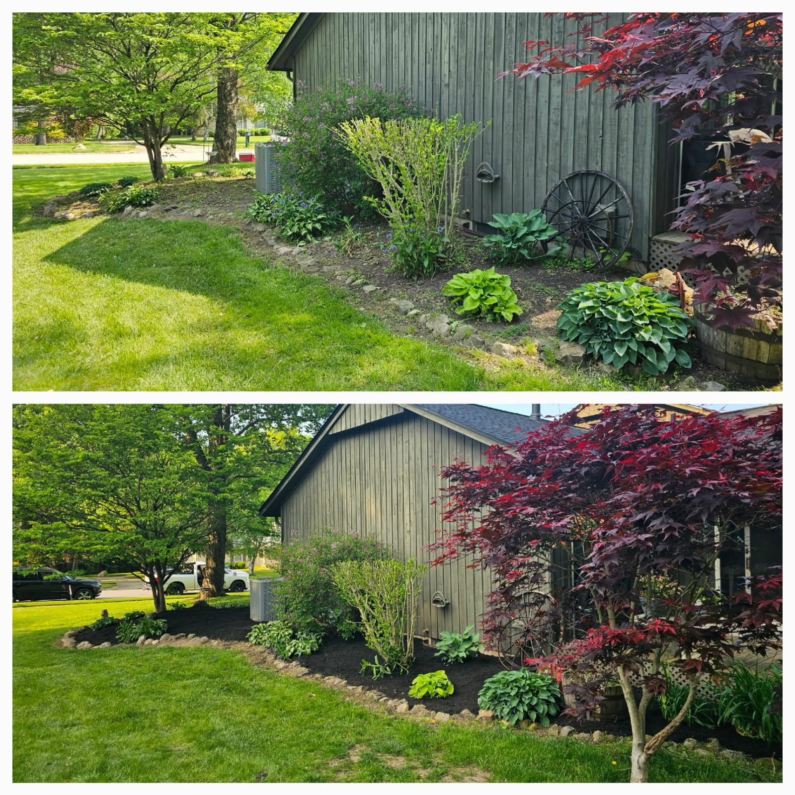 No Limit Lawn Care LLC completed lawn care project