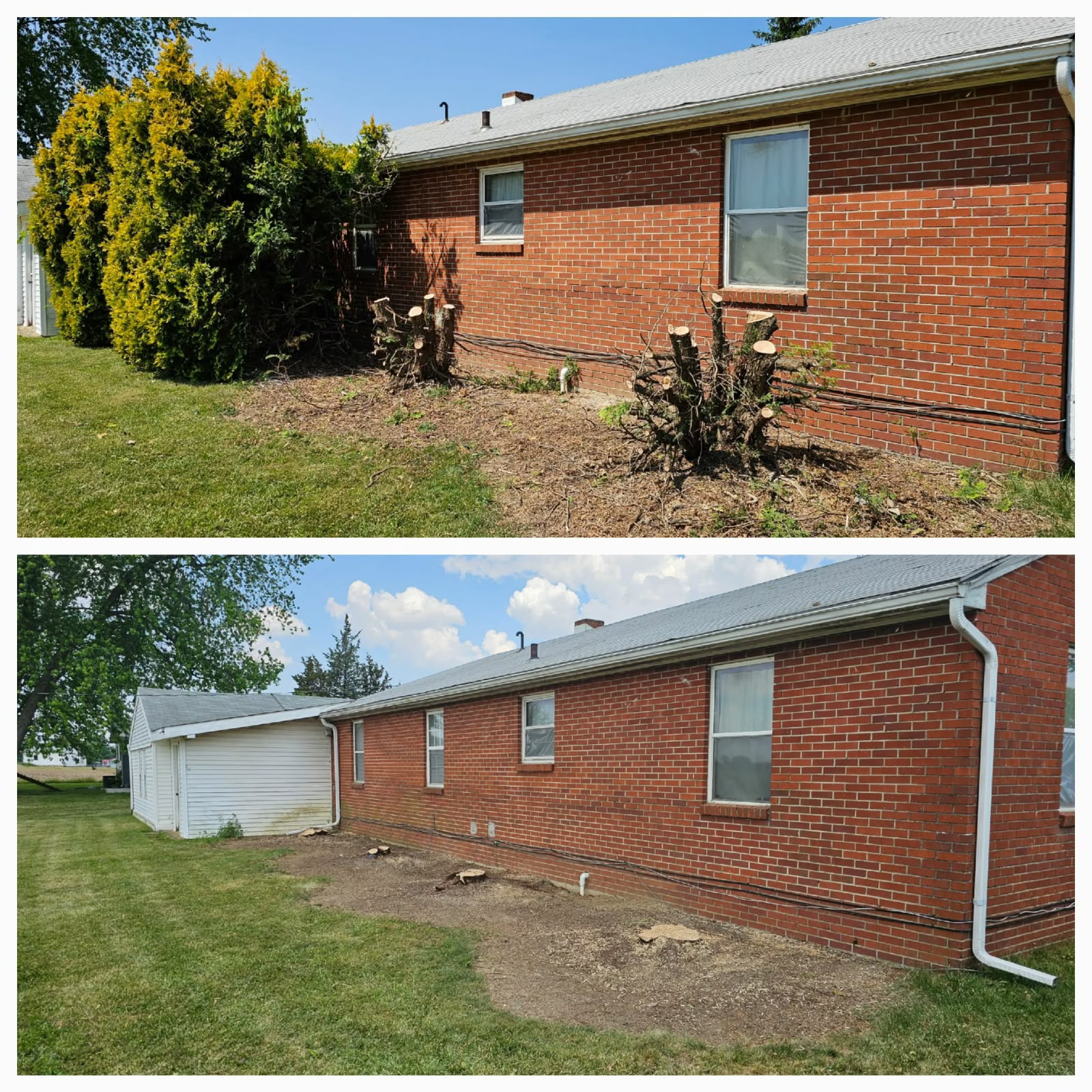 Recent outdoor cleanup work by No Limit Lawn Care LLC