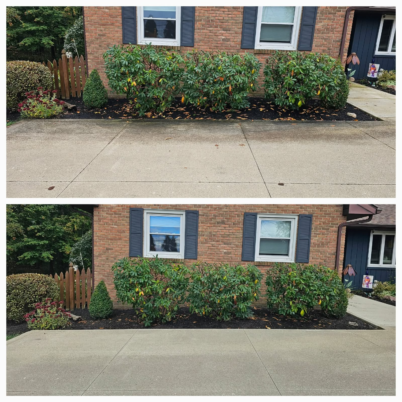 No Limit Lawn Care LLC completed lawn care project