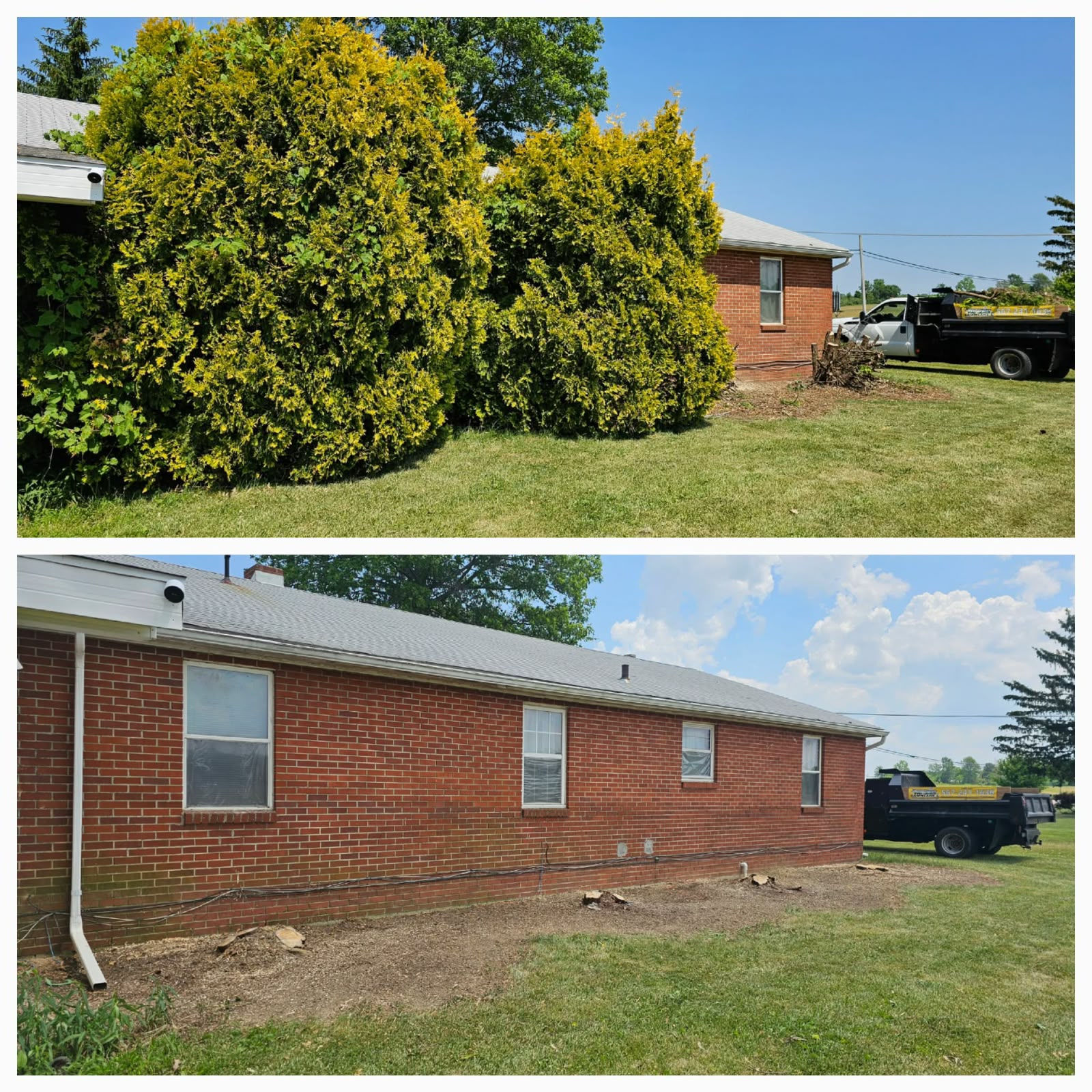 Professional lawn mowing service by No Limit Lawn Care LLC