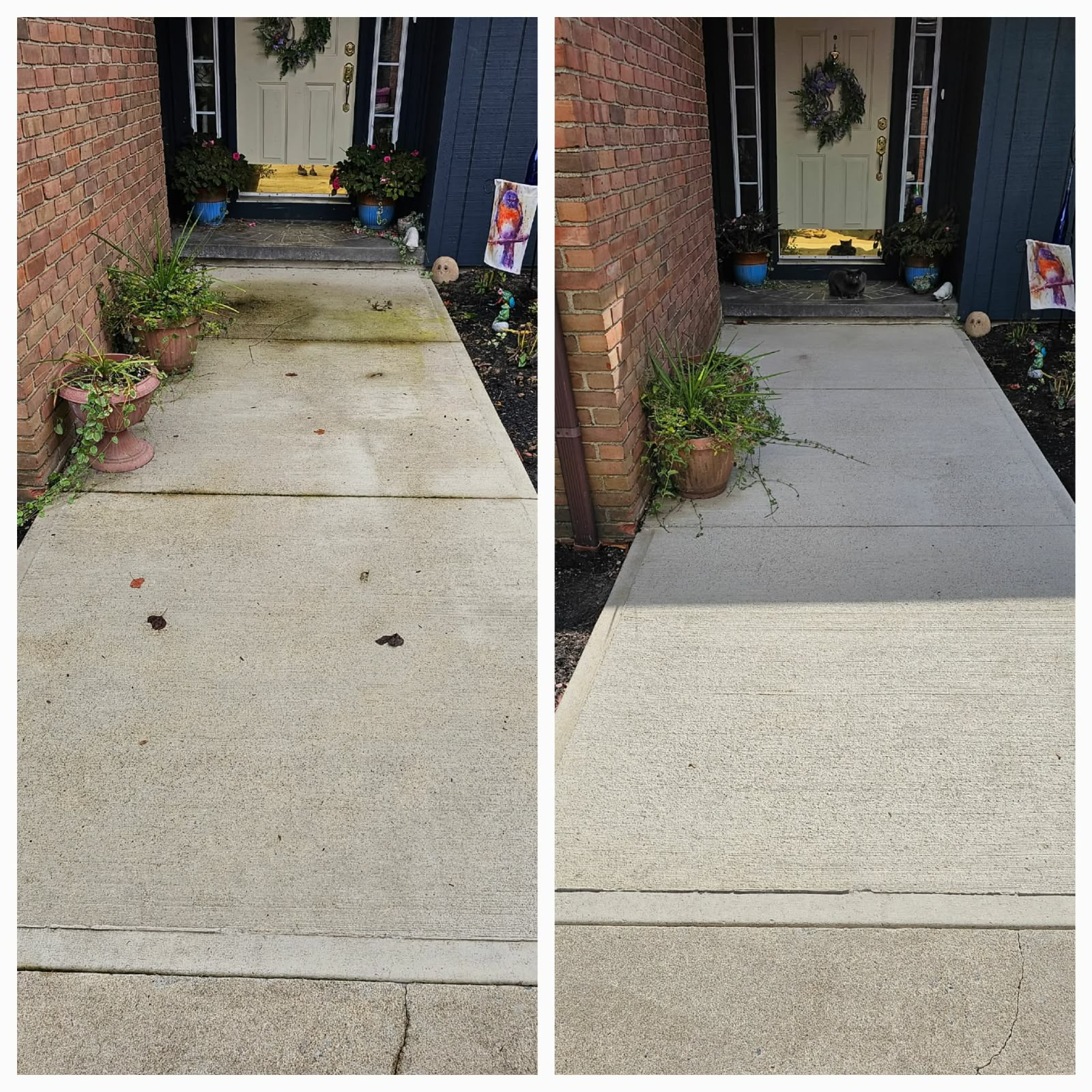 Professional lawn mowing service by No Limit Lawn Care LLC
