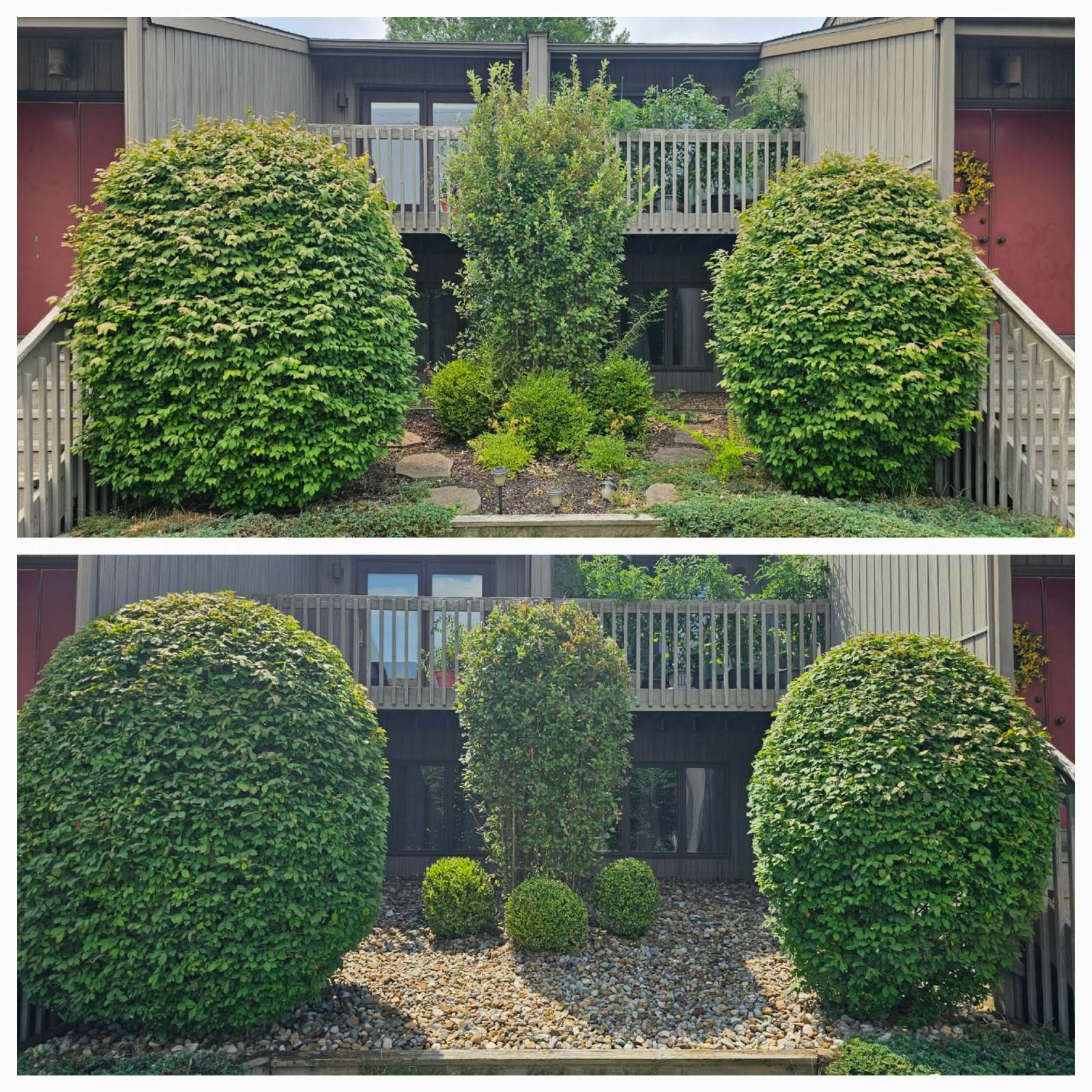 No Limit Lawn Care LLC completed lawn care project