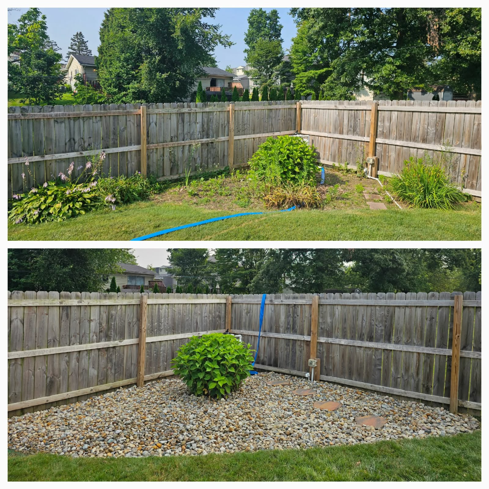 No Limit Lawn Care LLC completed lawn care project