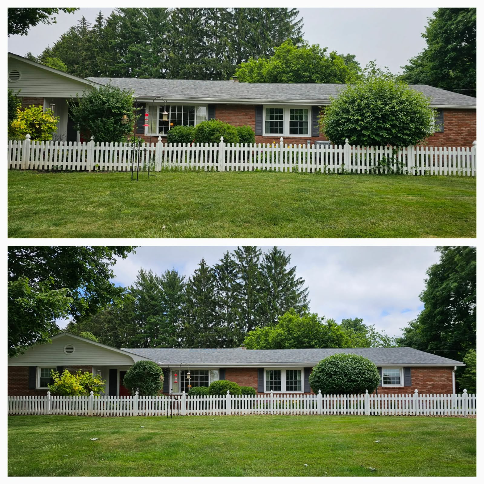 Recent outdoor cleanup work by No Limit Lawn Care LLC