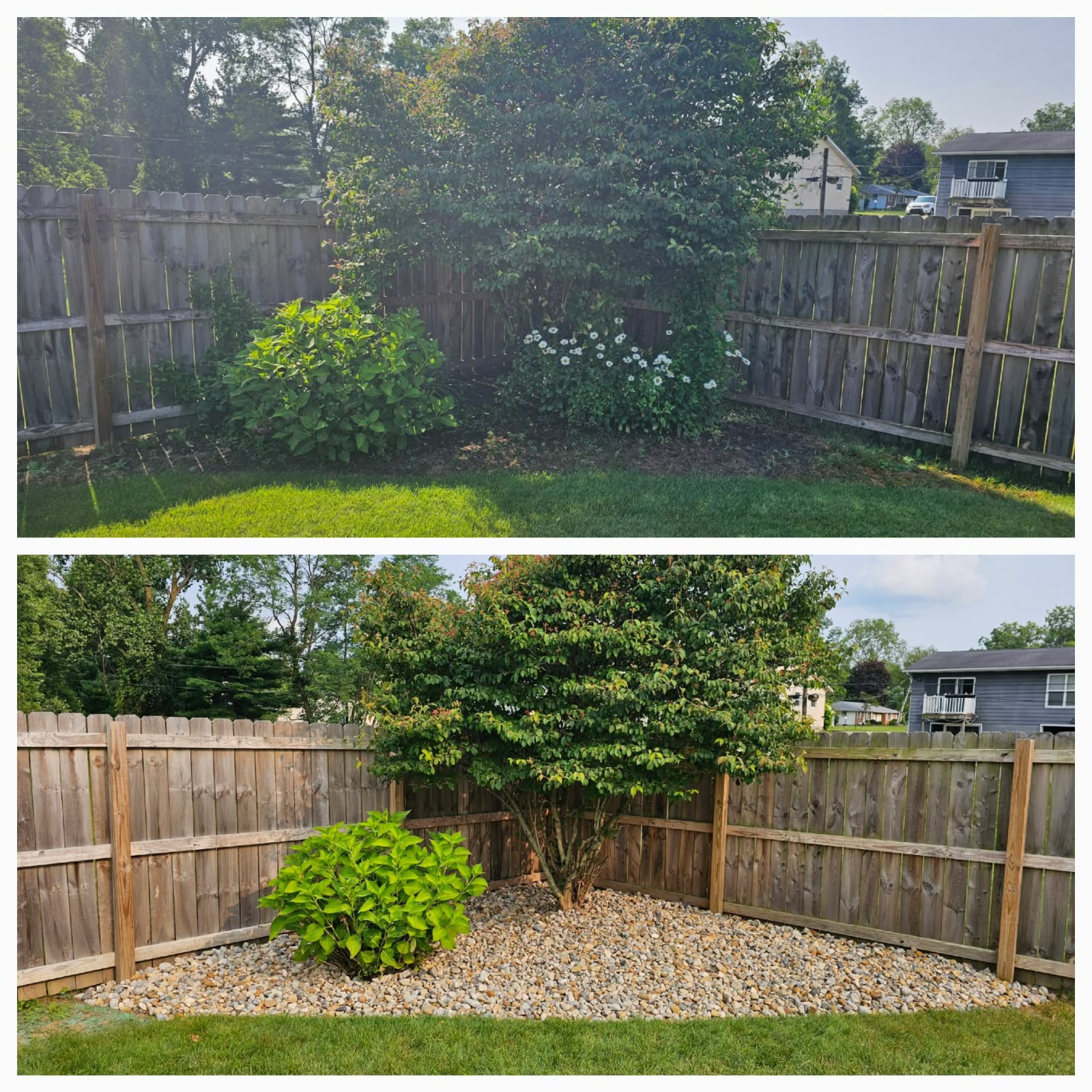 No Limit Lawn Care LLC completed lawn care project