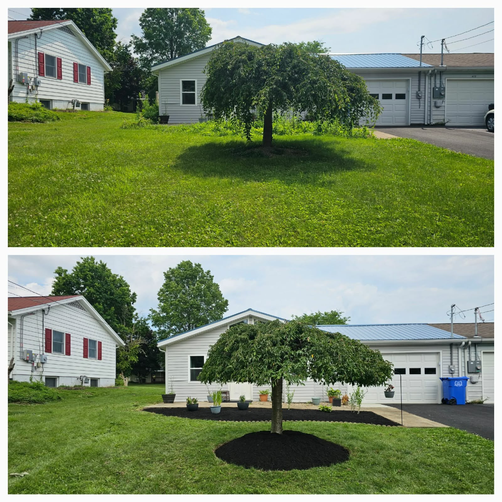 No Limit Lawn Care LLC completed lawn care project