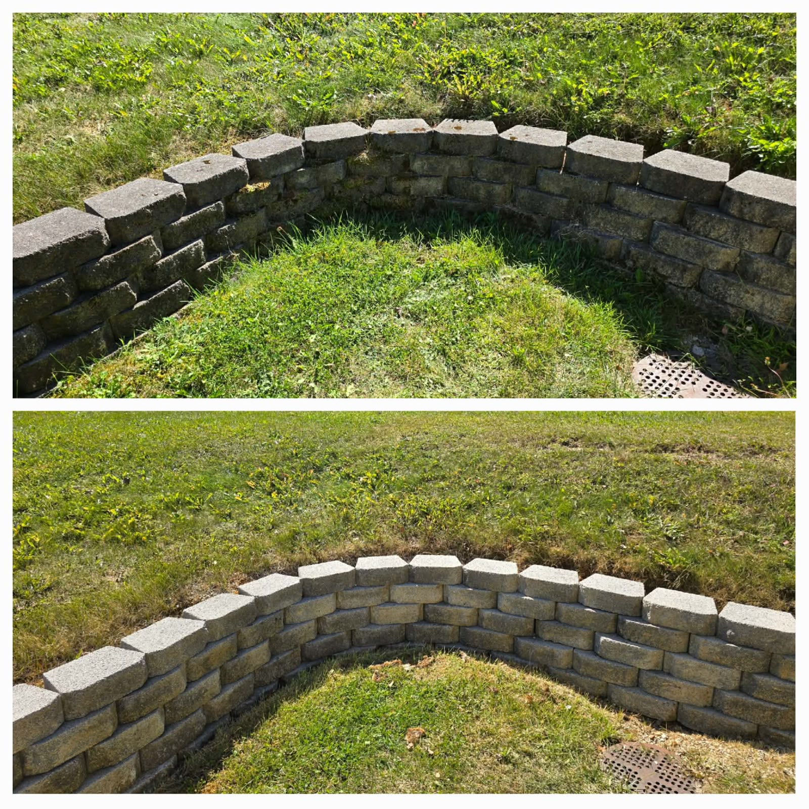Professional lawn mowing service by No Limit Lawn Care LLC
