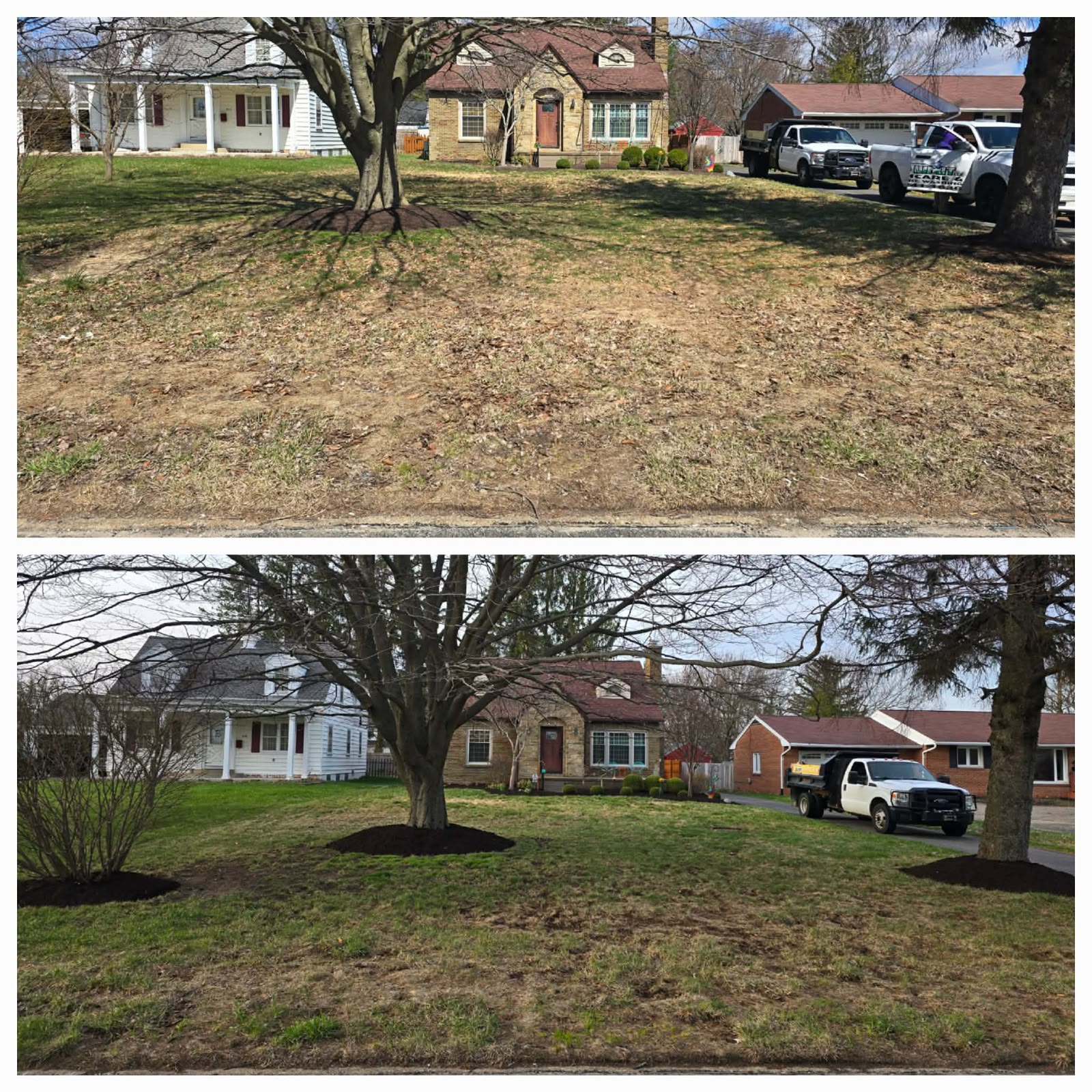 Professional lawn mowing service by No Limit Lawn Care LLC