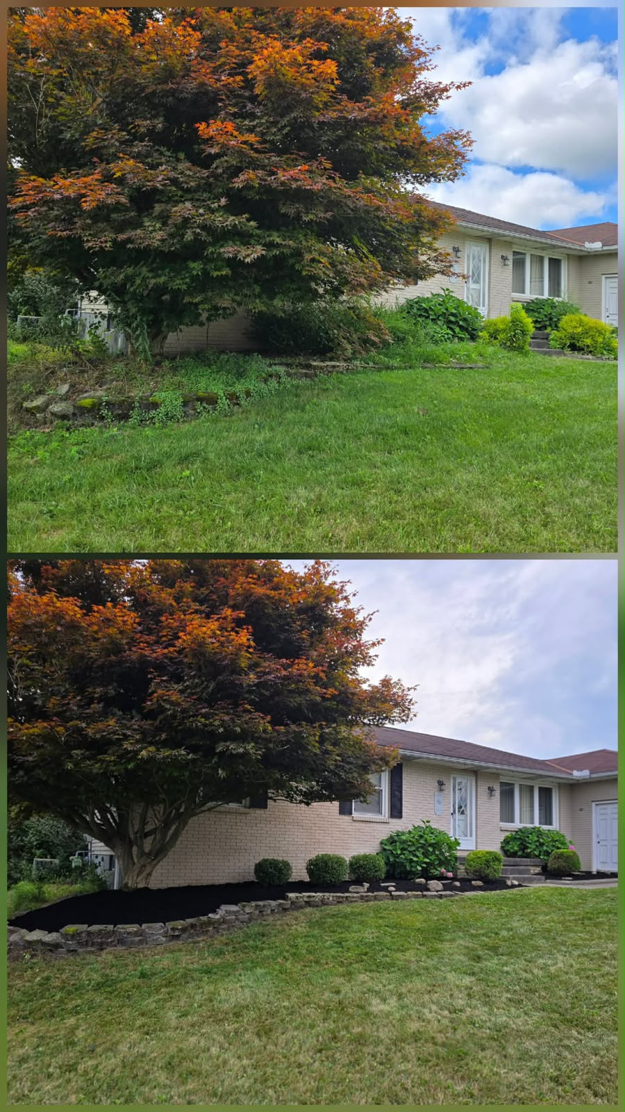 Recent outdoor cleanup work by No Limit Lawn Care LLC