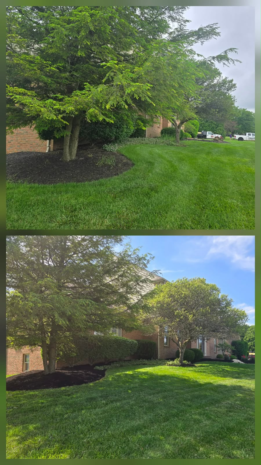 Recent outdoor cleanup work by No Limit Lawn Care LLC