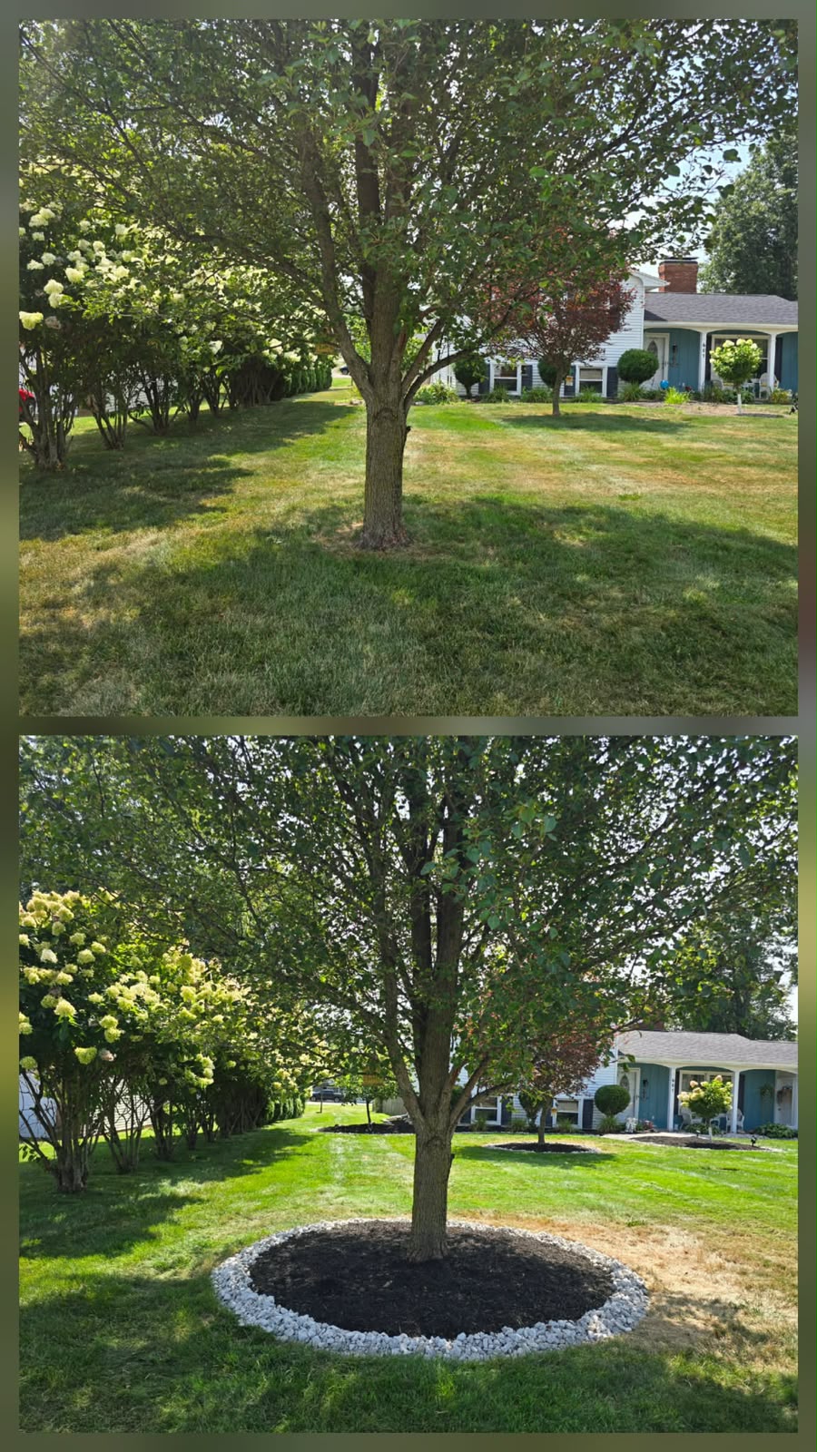 Professional lawn mowing service by No Limit Lawn Care LLC