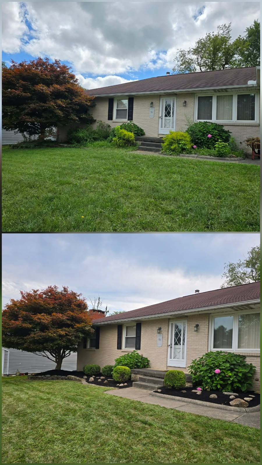 Recent outdoor cleanup work by No Limit Lawn Care LLC