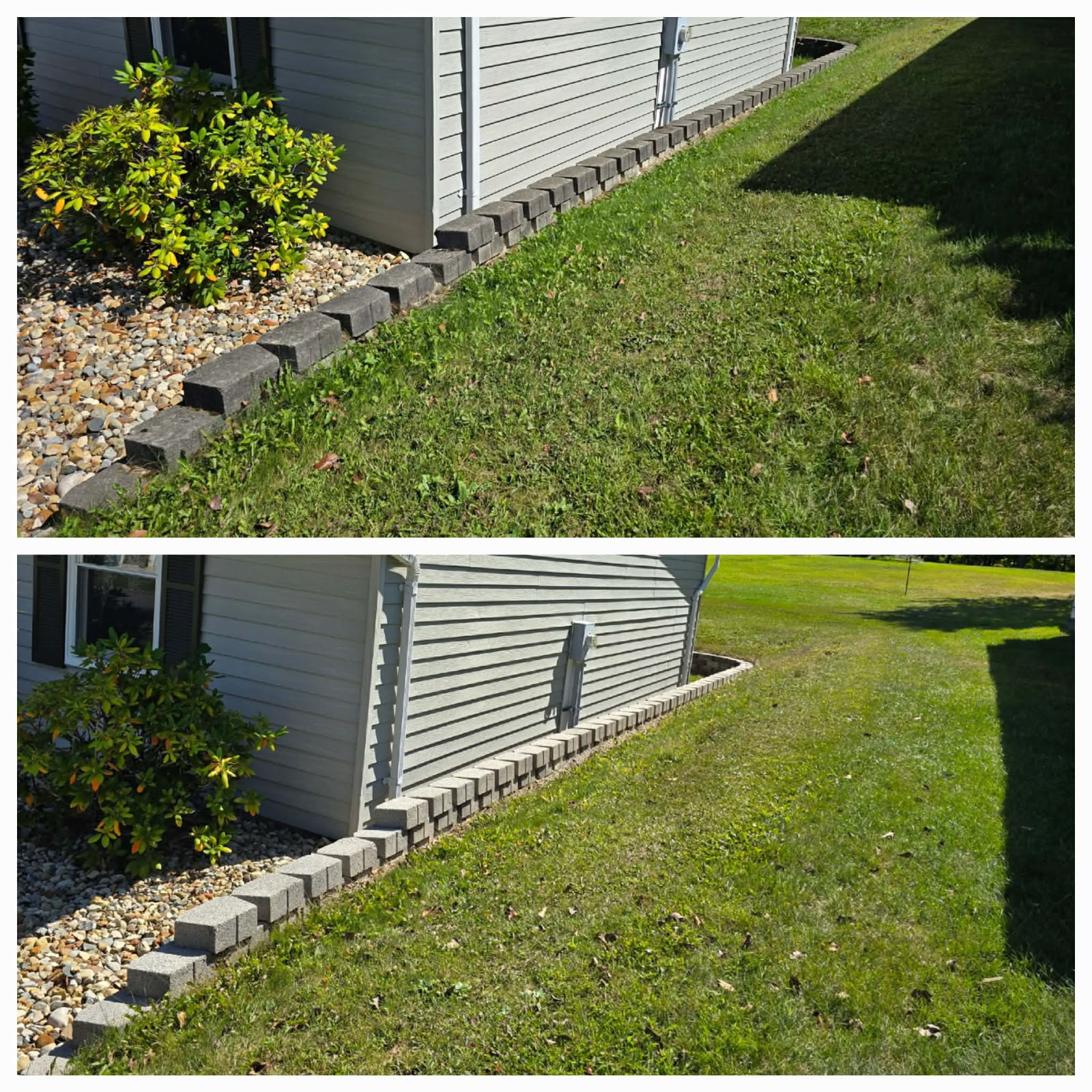 No Limit Lawn Care LLC completed lawn care project