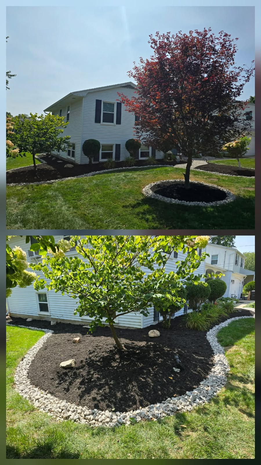 No Limit Lawn Care LLC completed lawn care project
