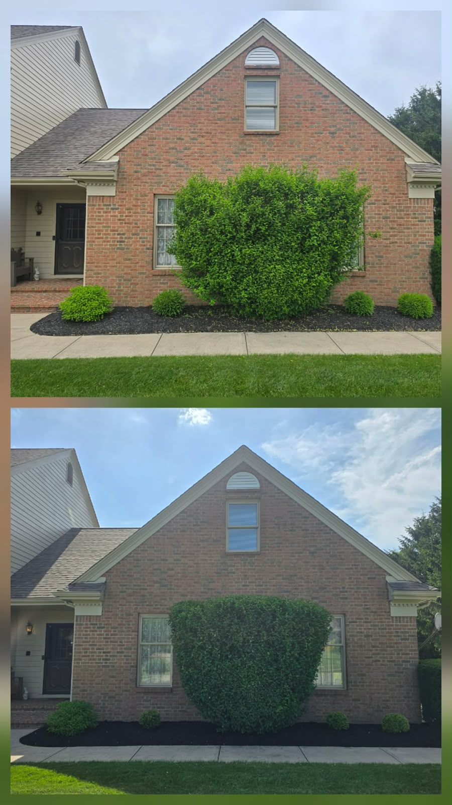 Professional lawn mowing service by No Limit Lawn Care LLC