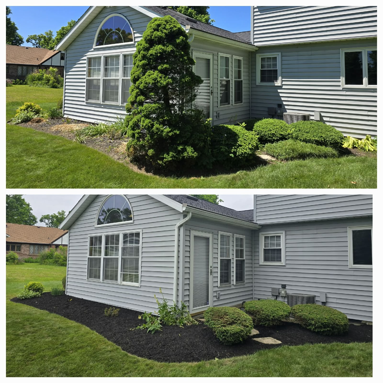 Professional lawn mowing service by No Limit Lawn Care LLC