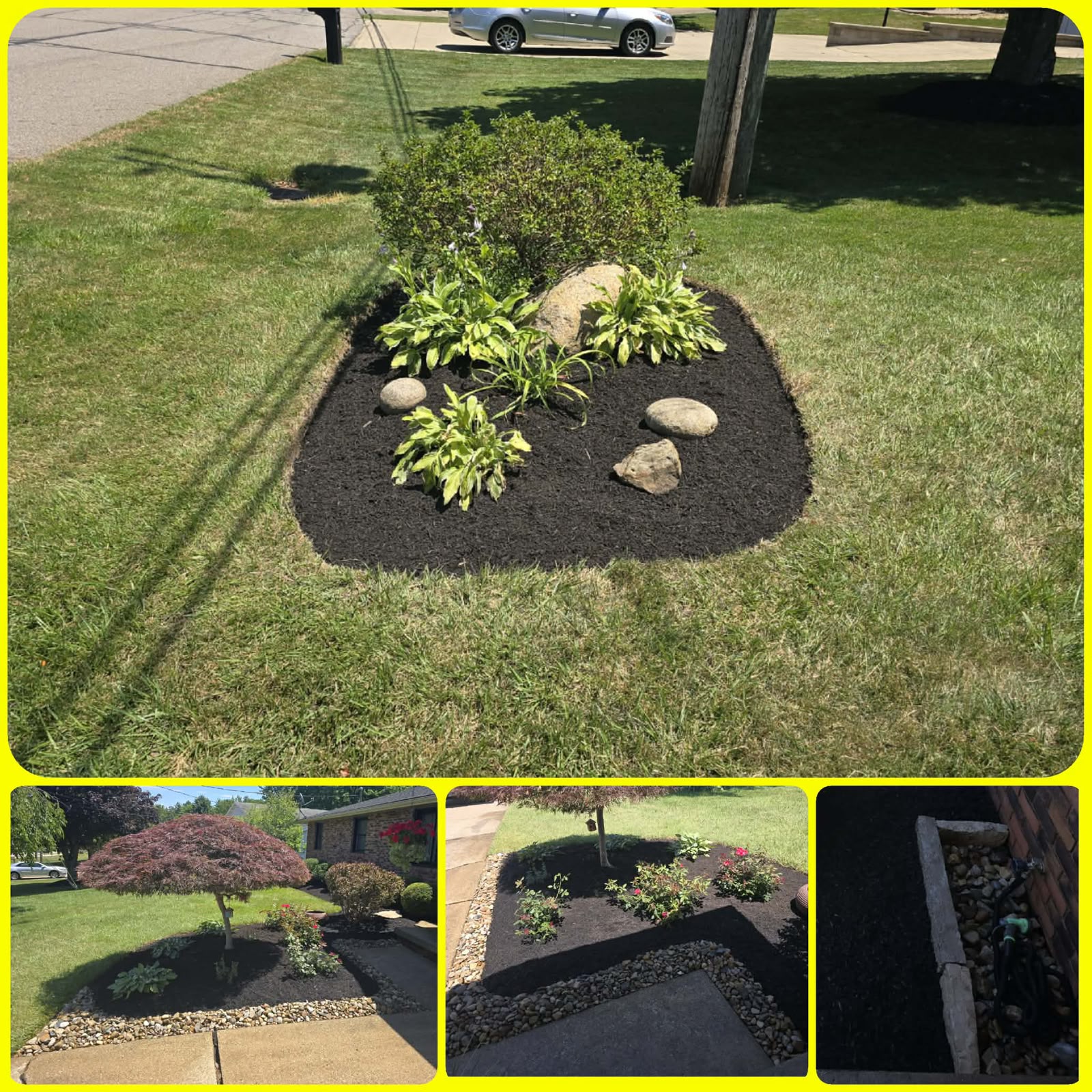 No Limit Lawn Care LLC completed lawn care project