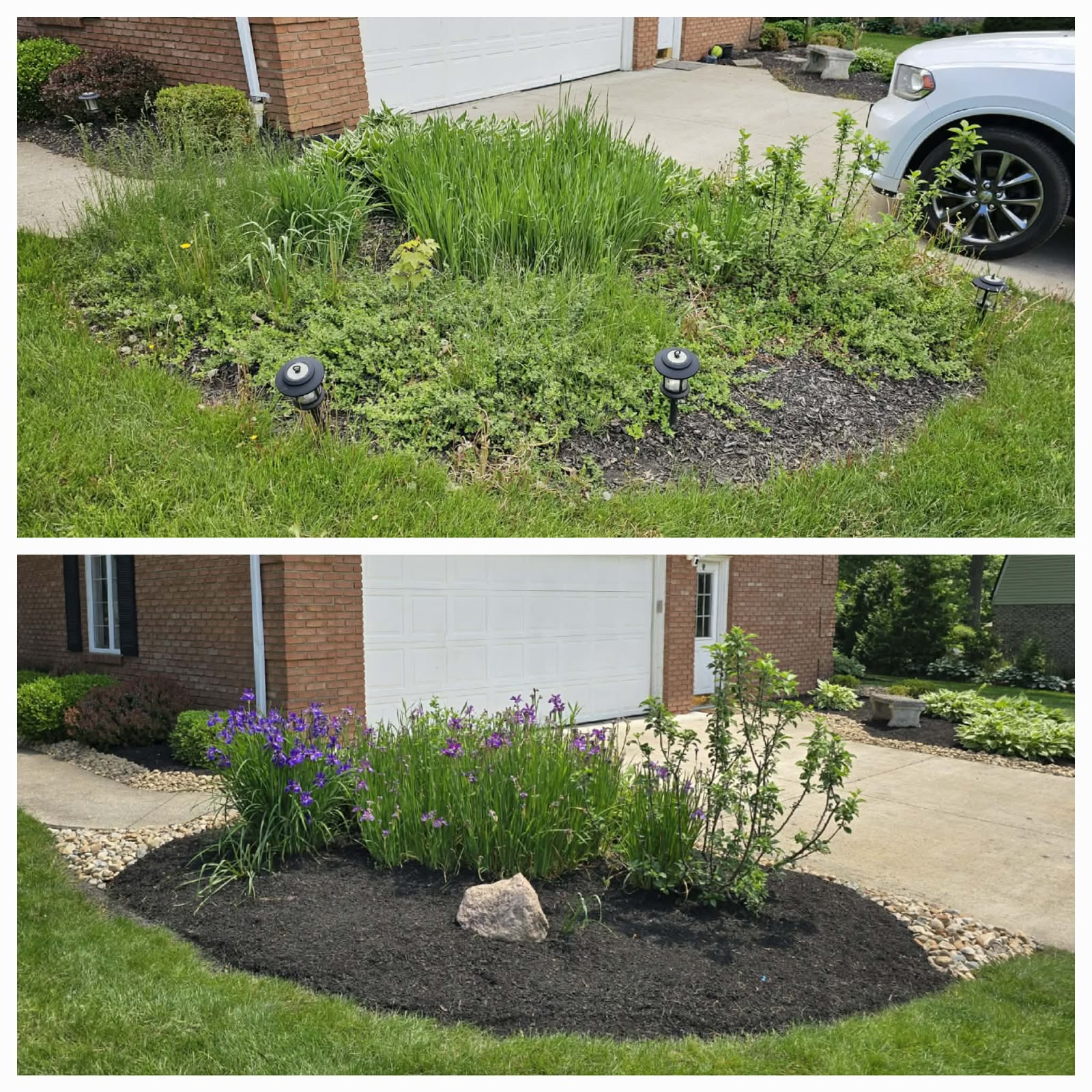 Professional lawn mowing service by No Limit Lawn Care LLC