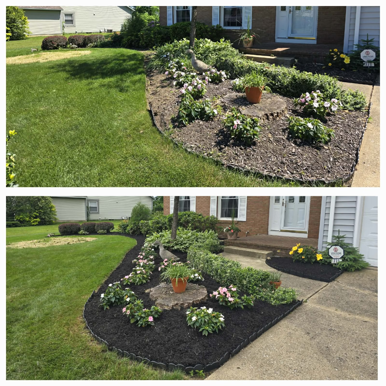 No Limit Lawn Care LLC completed lawn care project