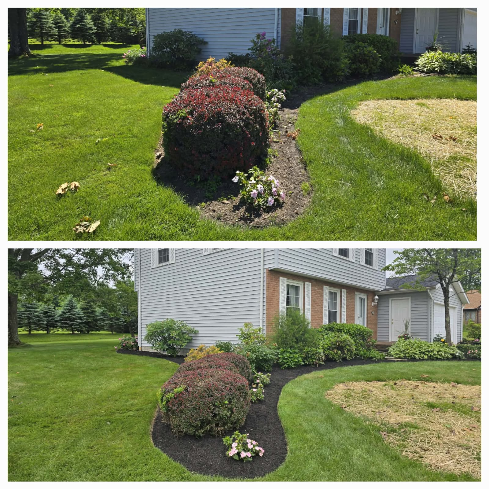 Recent outdoor cleanup work by No Limit Lawn Care LLC
