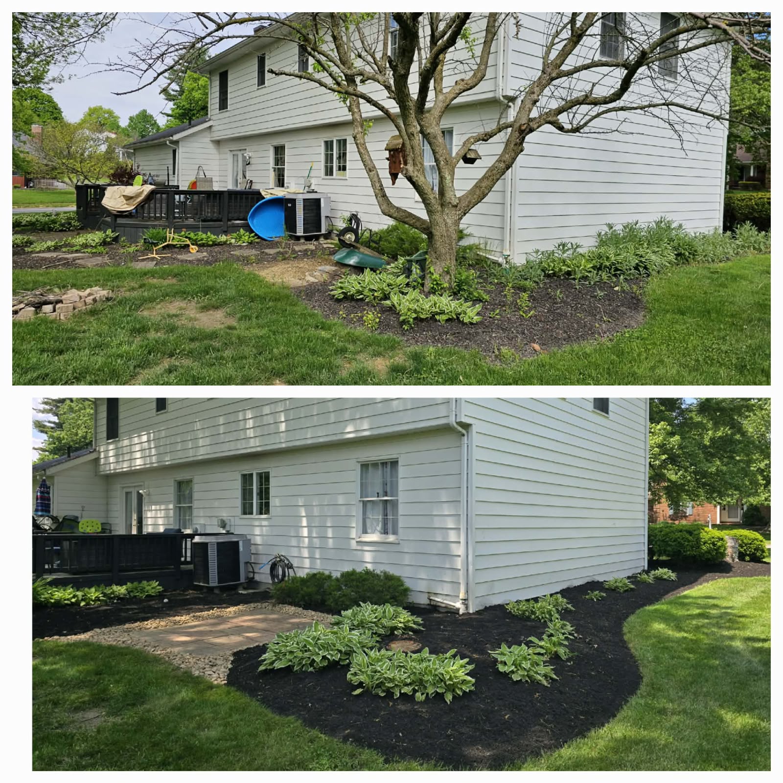 Recent outdoor cleanup work by No Limit Lawn Care LLC