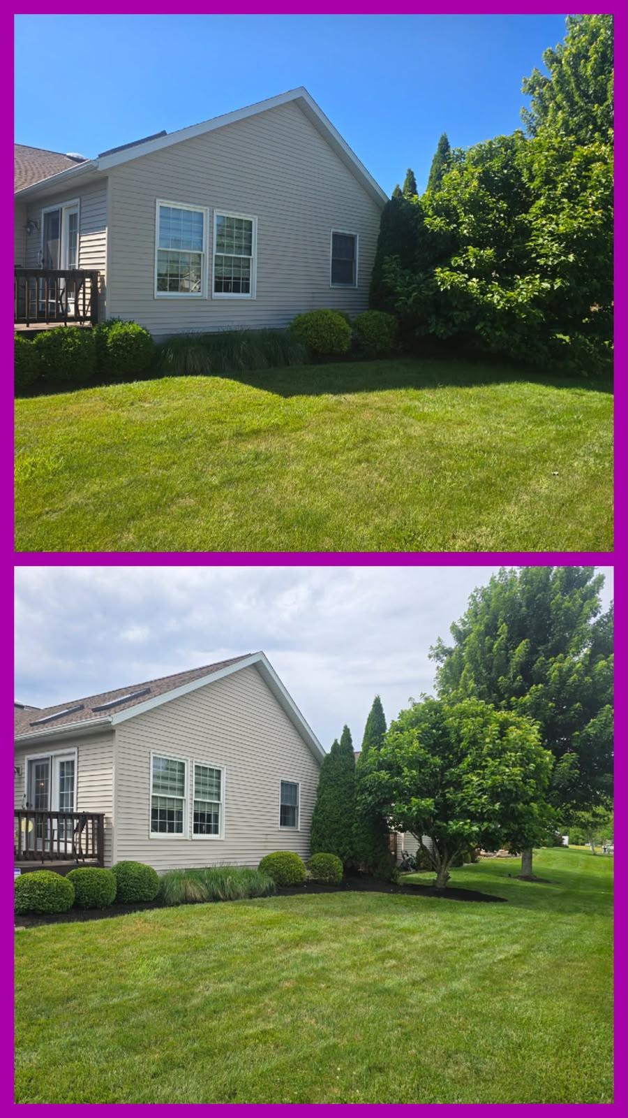 Professional lawn mowing service by No Limit Lawn Care LLC
