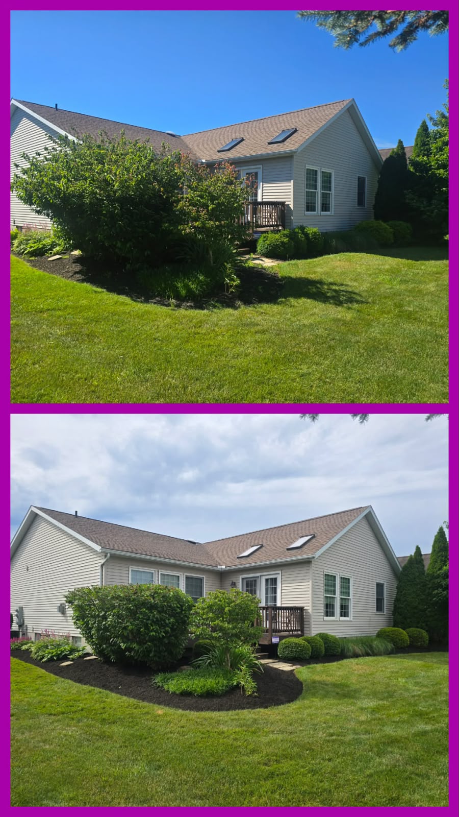 Recent outdoor cleanup work by No Limit Lawn Care LLC