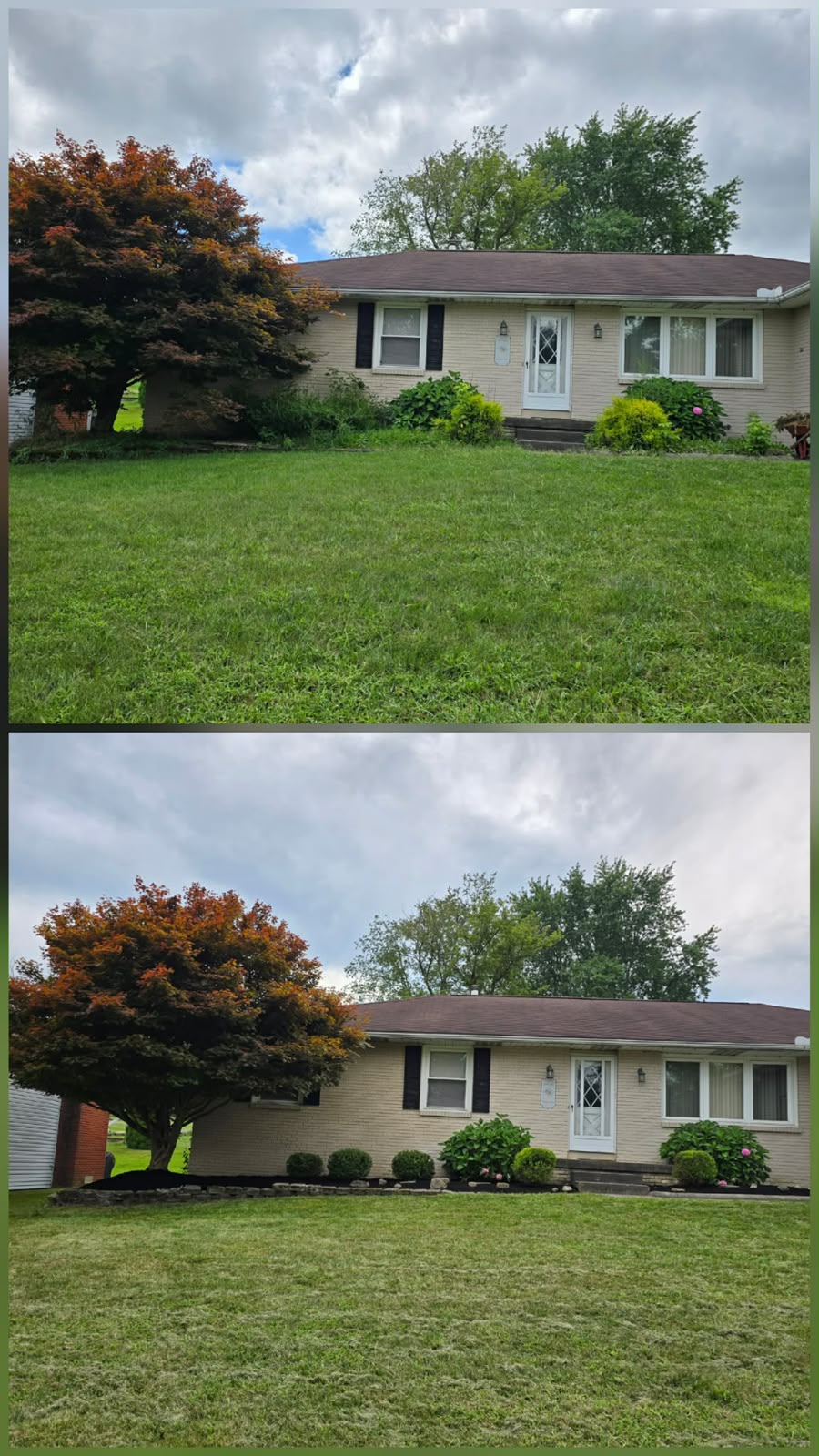 No Limit Lawn Care LLC completed lawn care project