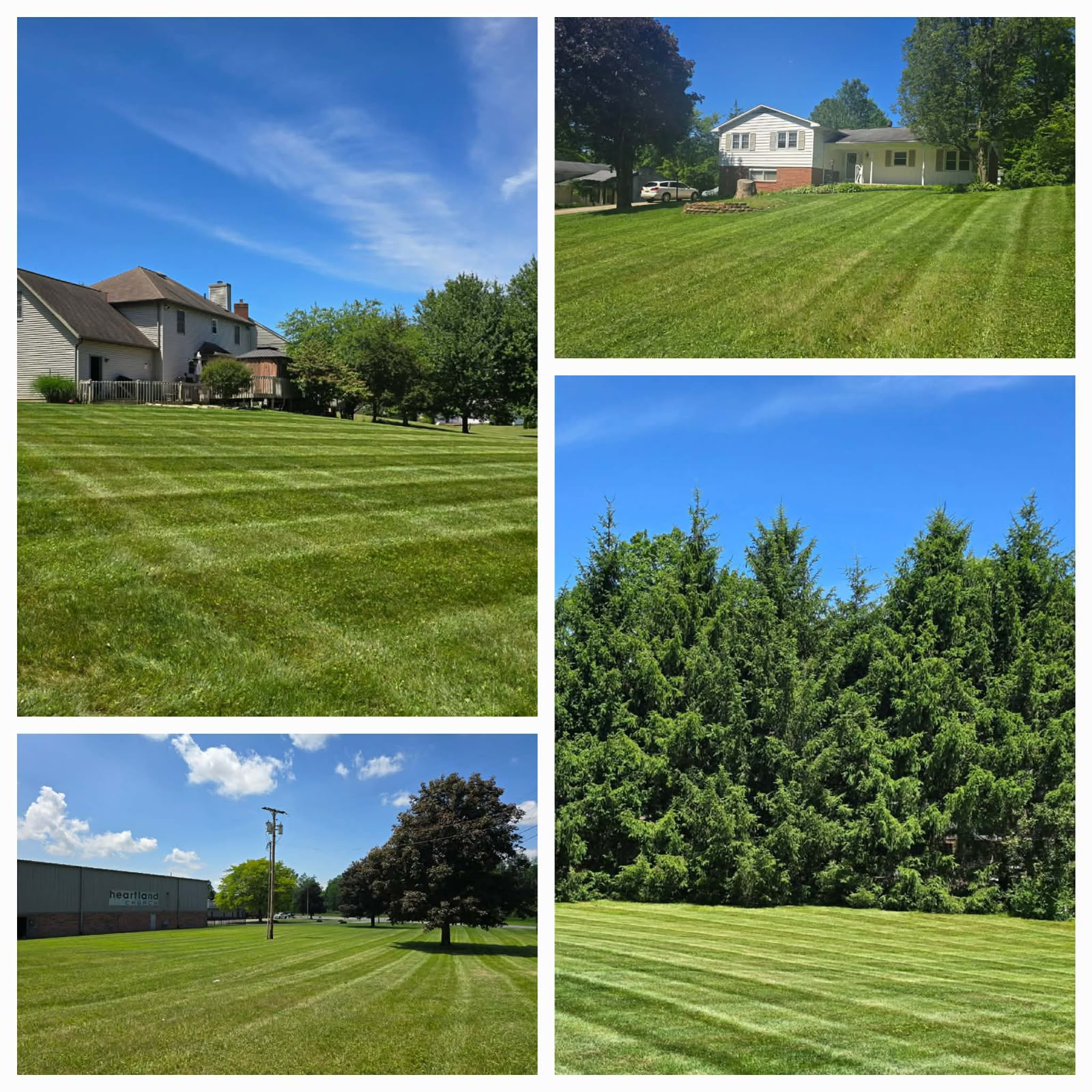 No Limit Lawn Care LLC completed lawn care project