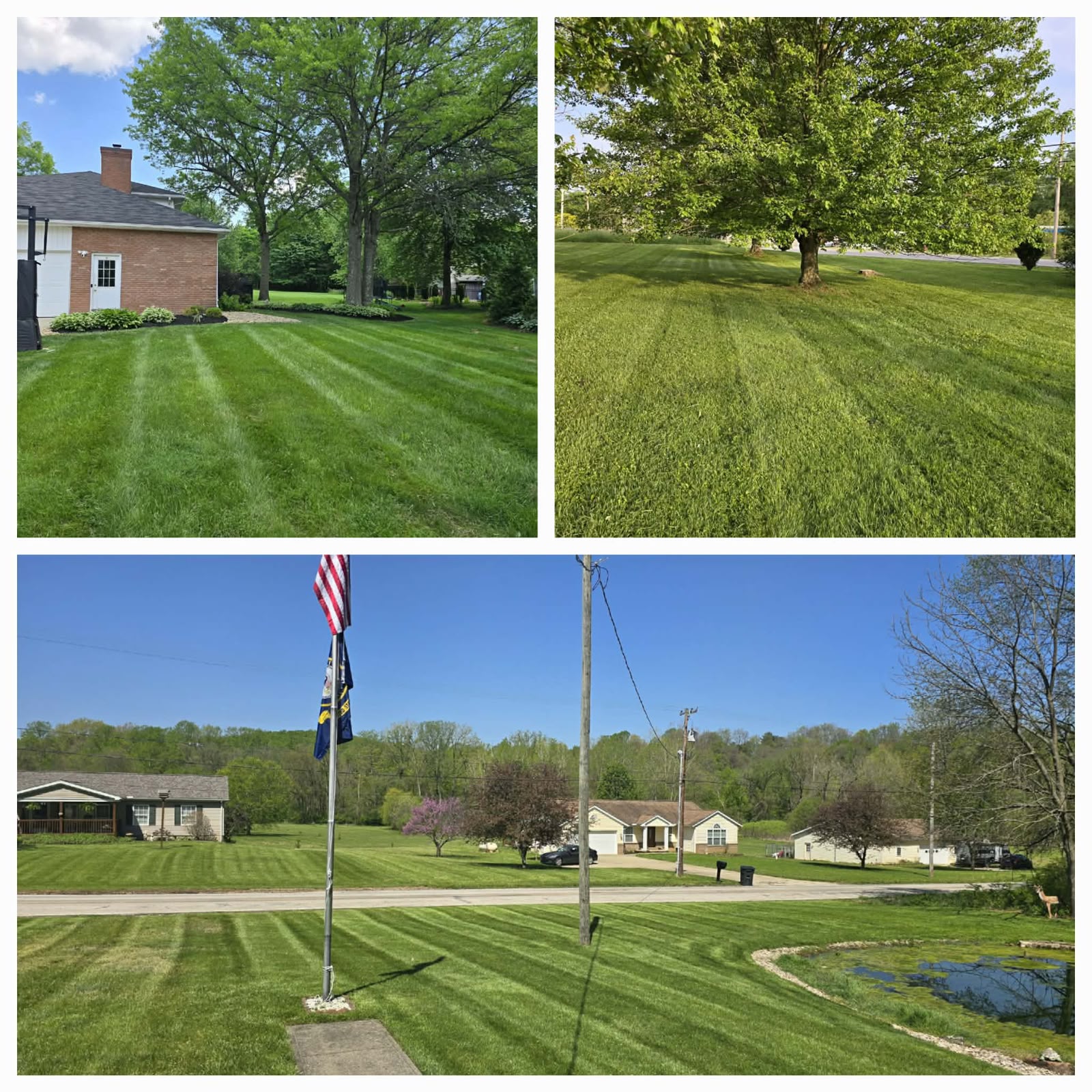 Recent outdoor cleanup work by No Limit Lawn Care LLC
