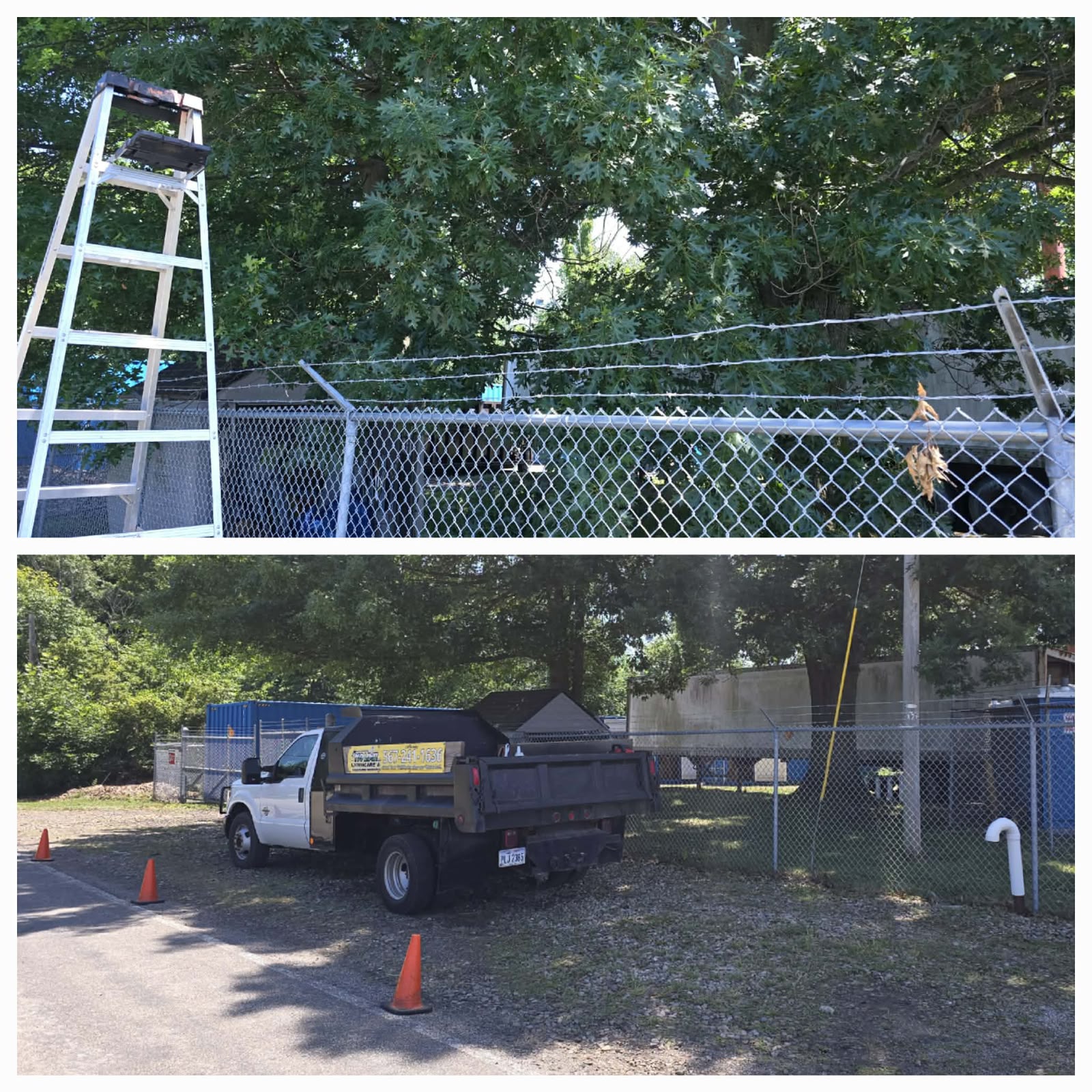 Professional lawn mowing service by No Limit Lawn Care LLC