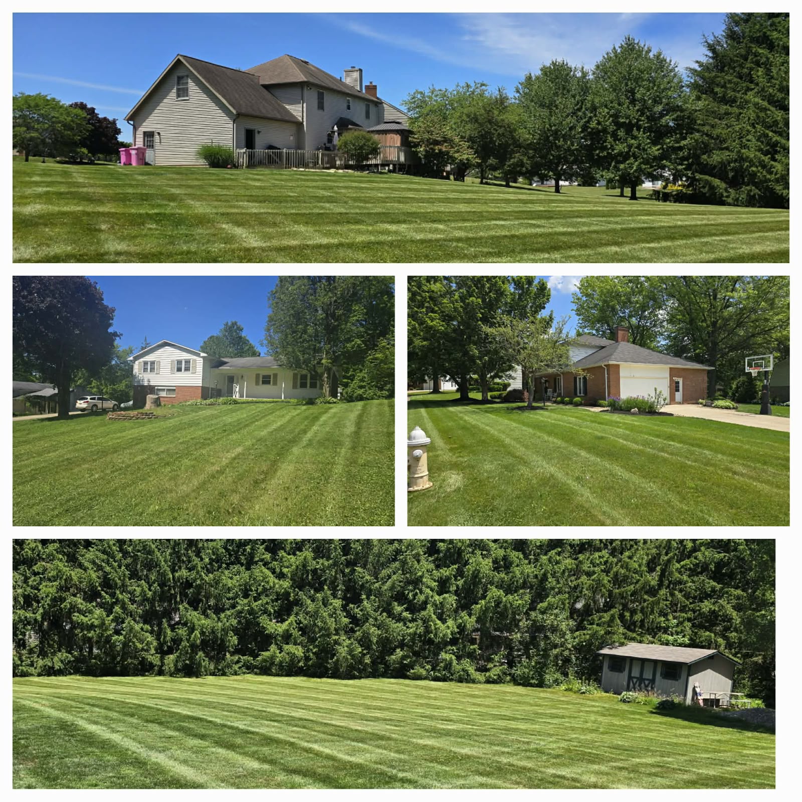 No Limit Lawn Care LLC completed lawn care project