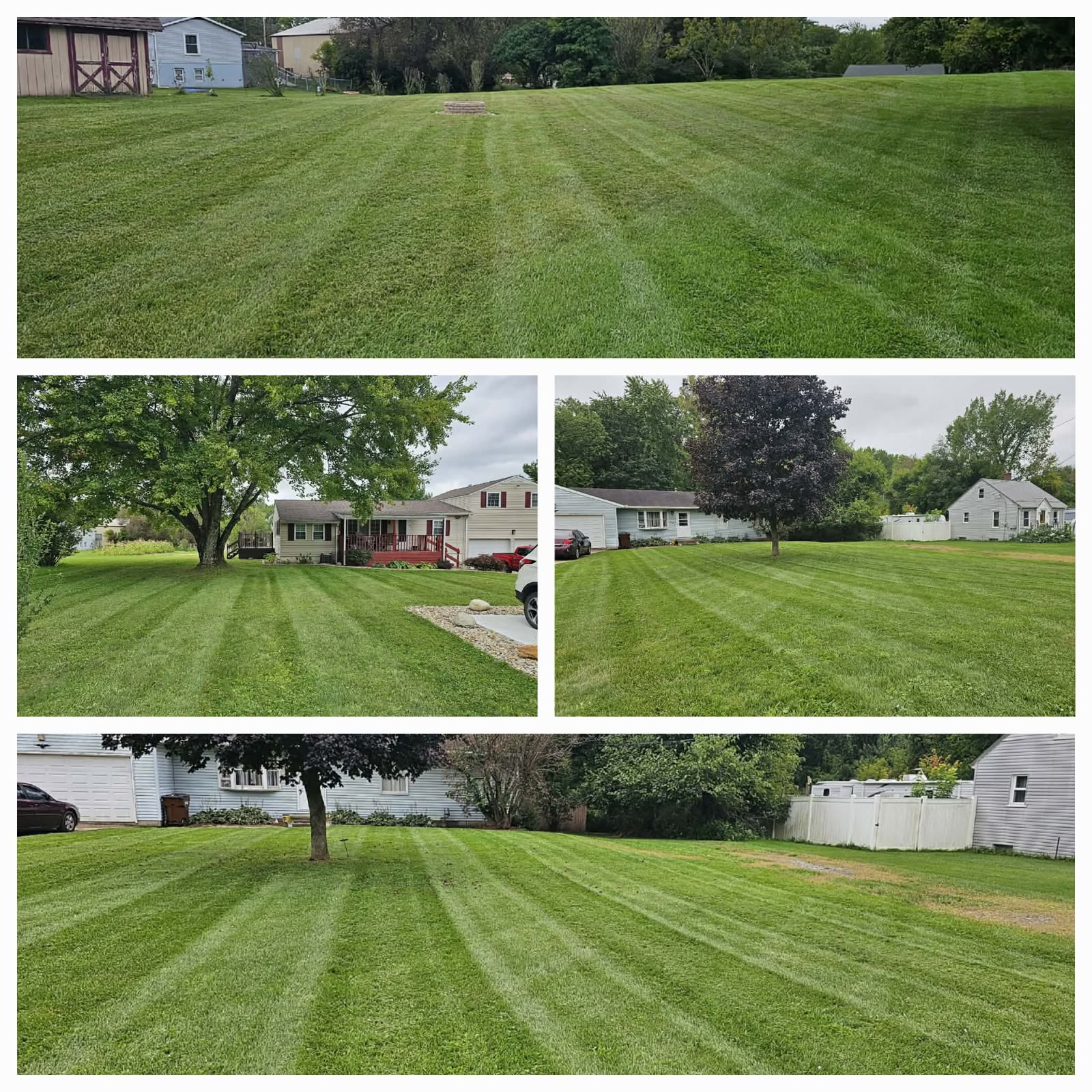 Professional lawn mowing service by No Limit Lawn Care LLC