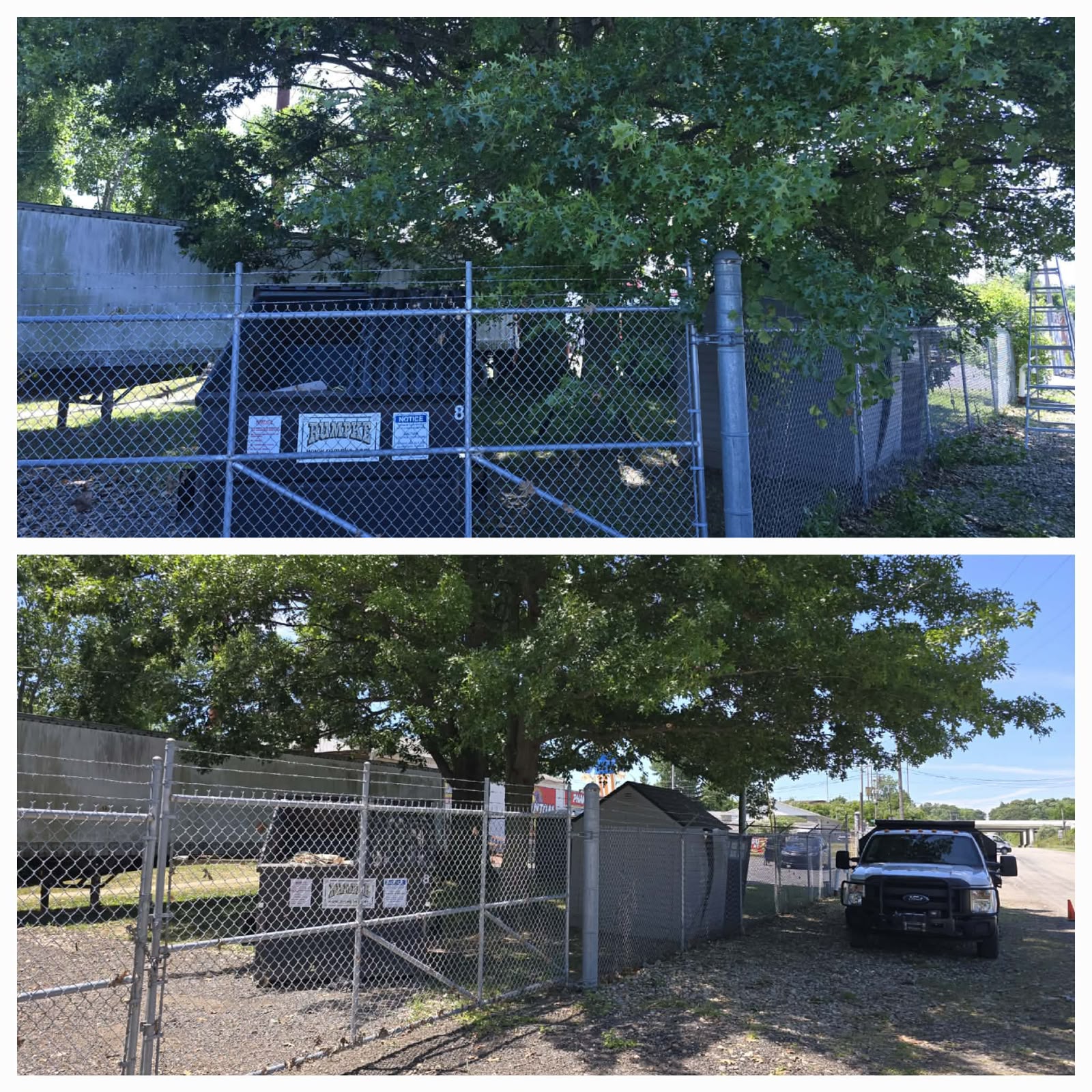 Recent outdoor cleanup work by No Limit Lawn Care LLC