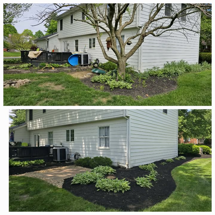 Professional lawn mowing service by No Limit Lawn Care LLC