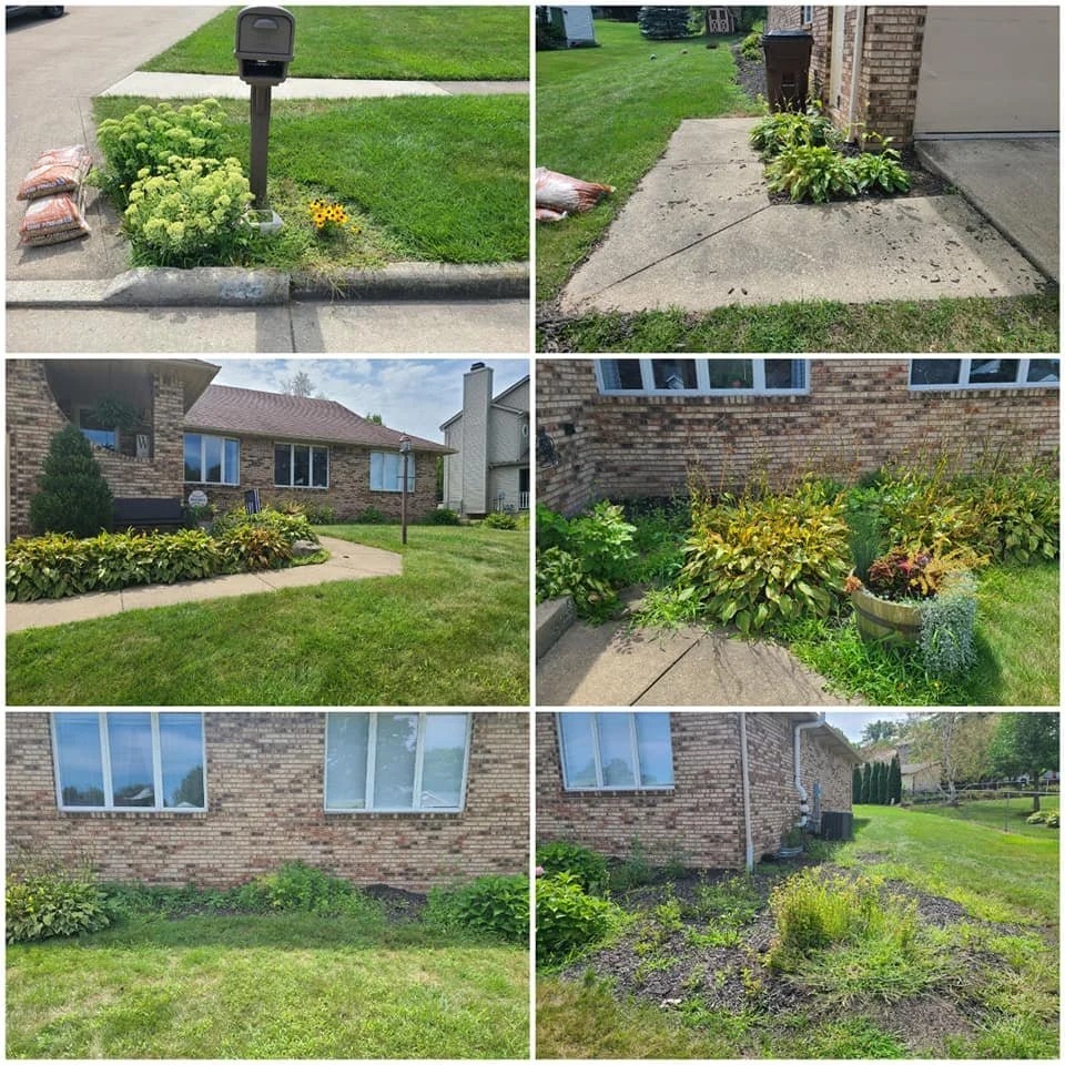 Landscape Bed Detail